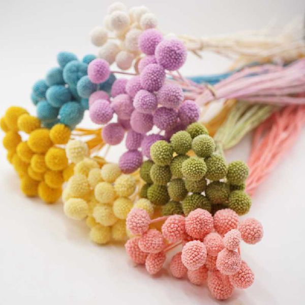 decorative flowers & wreaths party dining bedroom home decoration grade preserved craspedia dried golden flower billy balls
decorative flowers & wreaths party dining bedroom home decoration grade preserved craspedia dried golden flower billy balls