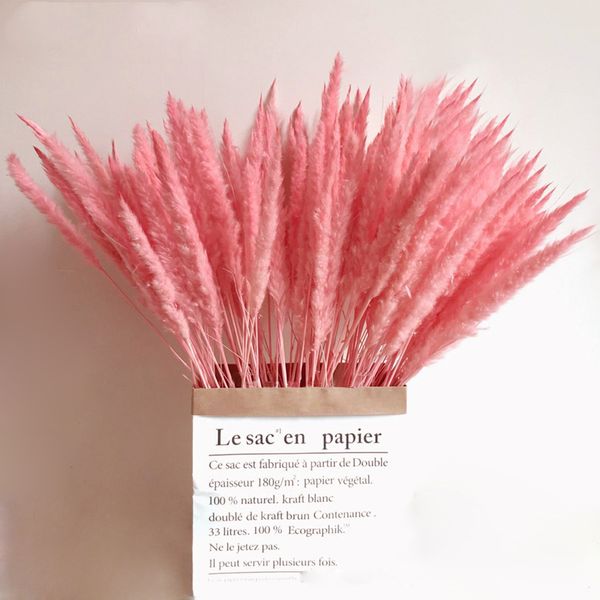 para decoracion real plants home decor wedding decoration 15pcs dried small pampas grass flowers pantas artificiales home decor
para decoracion real plants home decor wedding decoration 15pcs dried small pampas grass flowers pantas artificiales home decor