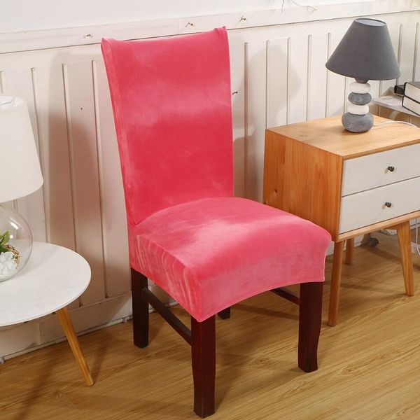 spandex velvet dining chair cover dustproof stretch covers for wedding banquet el home decor slipcover funda para silla
spandex velvet dining chair cover dustproof stretch covers for wedding banquet el home decor slipcover funda para silla