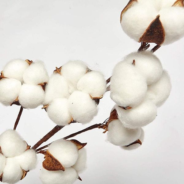 decorative flowers & wreaths simulation natural white cotton stems dried flower branch for farmhouse style antique floral furniture wedding
decorative flowers & wreaths simulation natural white cotton stems dried flower branch for farmhouse style antique floral furniture wedding