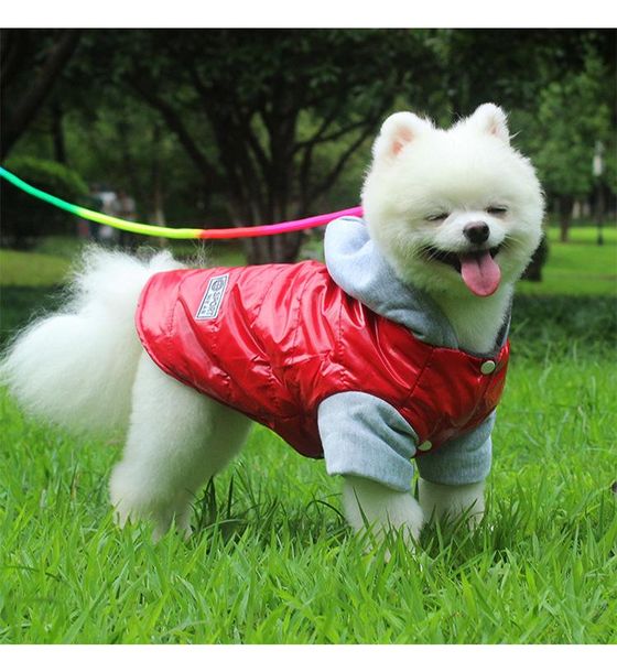 dog apparel pet clothes waterproof winter warm plush coat jacket four legs hooded jumpsuit puppy small medium
dog apparel pet clothes waterproof winter warm plush coat jacket four legs hooded jumpsuit puppy small medium