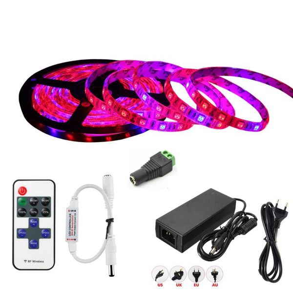 est dimmable waterproof led grow strip lighting with dc12v 6a power and 11key remote controller hydroponic apollo phyto lamp strips
est dimmable waterproof led grow strip lighting with dc12v 6a power and 11key remote controller hydroponic apollo phyto lamp strips
