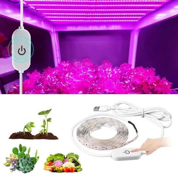full spectrum waterproof touch sensor 5v usb led light phyto lamp 1/2/3m growing strip fitolampy for plants tent garden decorations
full spectrum waterproof touch sensor 5v usb led light phyto lamp 1/2/3m growing strip fitolampy for plants tent garden decorations