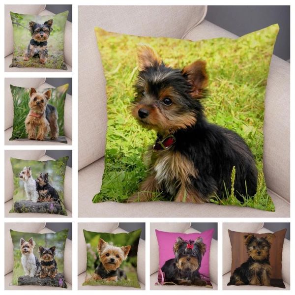 cushion/decorative pillow cute pet animal cushion cover mini yorkshire dog soft plush pillowcase decor printed case for sofa home car 45*45c
cushion/decorative pillow cute pet animal cushion cover mini yorkshire dog soft plush pillowcase decor printed case for sofa home car 45*45c