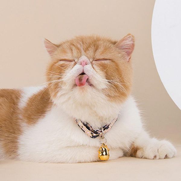 cat collars & leads japanese style with bell print pet dog collar accessories for chihuahua pendant necklace product
cat collars & leads japanese style with bell print pet dog collar accessories for chihuahua pendant necklace product