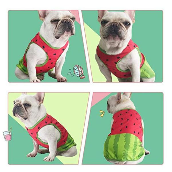 dog apparel cute pet watermelon soft dogs vest sports cat shirt clothing spring summer cool sweatshirt coats
dog apparel cute pet watermelon soft dogs vest sports cat shirt clothing spring summer cool sweatshirt coats