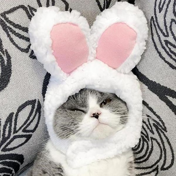 cute warm wool ear pet cat headgear cross dressing cap hat headdress cosplay party costume accessories costumes
cute warm wool ear pet cat headgear cross dressing cap hat headdress cosplay party costume accessories costumes