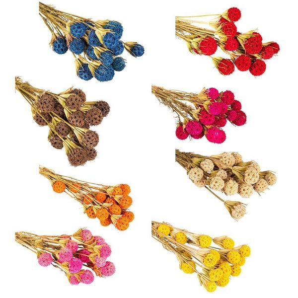 decorative flowers & wreaths 2pcs dried bouquet natural pine cones artificial handmade flower bundles for diy home vase wedding party props
decorative flowers & wreaths 2pcs dried bouquet natural pine cones artificial handmade flower bundles for diy home vase wedding party props