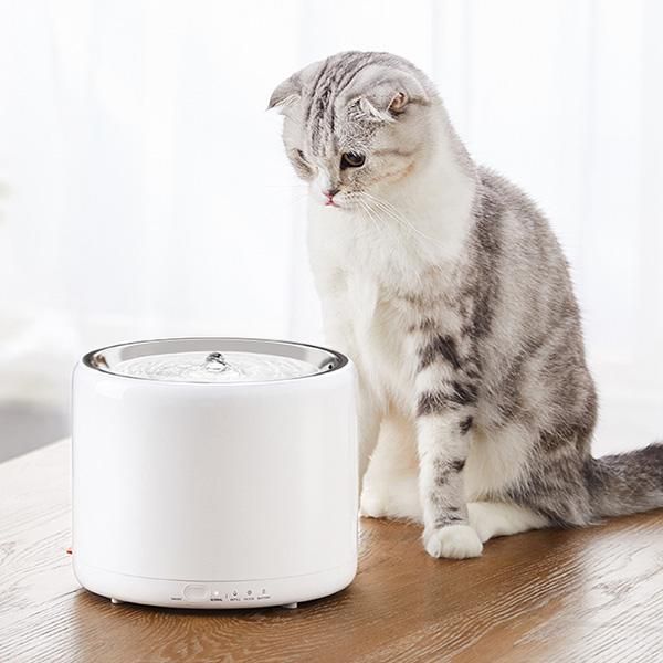 smart pet water fountain petkit 1.35l stainless steel led light indicator auto-shut off pump dual working mode cat bowl bowls & feeders
smart pet water fountain petkit 1.35l stainless steel led light indicator auto-shut off pump dual working mode cat bowl bowls & feeders