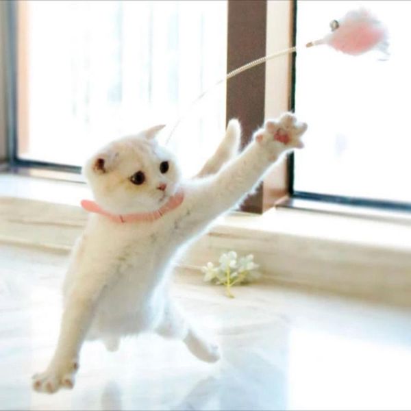 automatic cat teaser feather toy interactive stick wand pet retractable bell refill replacement catcher toys
automatic cat teaser feather toy interactive stick wand pet retractable bell refill replacement catcher toys