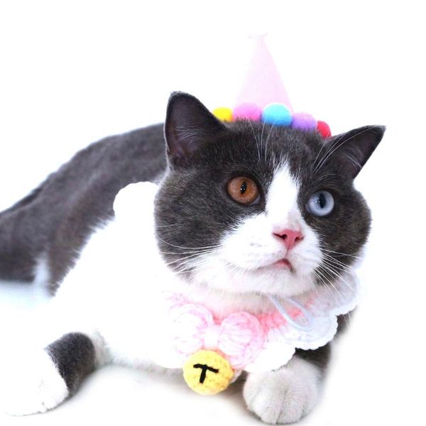 cat costumes cute pets dog cats birthday caps christmas pet hat nonwoven adjustable headwear santa puppy costume
cat costumes cute pets dog cats birthday caps christmas pet hat nonwoven adjustable headwear santa puppy costume