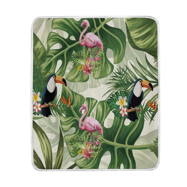 tropical palm animal zoo throw blanket flannel lightweight cozy bed blanket soft throw blankets travelling camping 60 x 50 in
tropical palm animal zoo throw blanket flannel lightweight cozy bed blanket soft throw blankets travelling camping 60 x 50 in