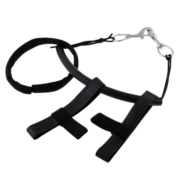 tech scuba diving bcd stage bottle side mount carry strap rigging equipment single end bolt snap clip pool & accessories
tech scuba diving bcd stage bottle side mount carry strap rigging equipment single end bolt snap clip pool & accessories