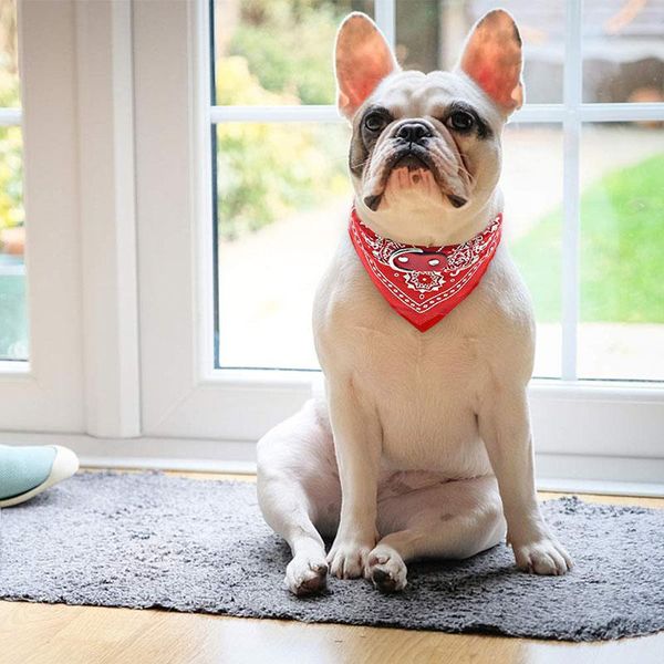dog collars & leashes pet triangle scarf adjustable pu leather collar bib small teddy supplies jewelry saliva towel
dog collars & leashes pet triangle scarf adjustable pu leather collar bib small teddy supplies jewelry saliva towel