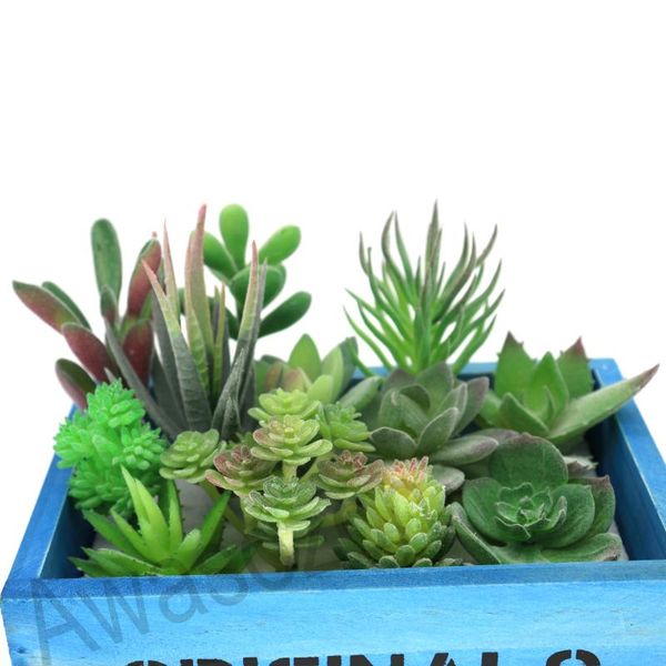 decorative flowers & wreaths 12pcs/set artificial green flocking succulents fake plants home garden office decoration diy craft mini flower
decorative flowers & wreaths 12pcs/set artificial green flocking succulents fake plants home garden office decoration diy craft mini flower
