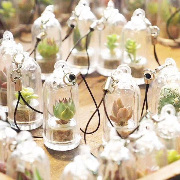 decorative flowers & wreaths 1pcs succulent mini bonsai flower pot green plants micro landscape indoor ball pendant bottle diy keychain home
decorative flowers & wreaths 1pcs succulent mini bonsai flower pot green plants micro landscape indoor ball pendant bottle diy keychain home