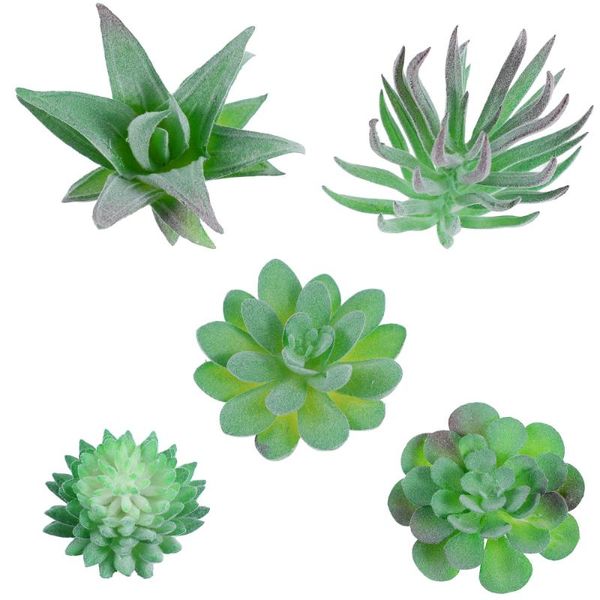 artificial succulents set mini realistic fake plants decor for home office table desk garden decorative flowers & wreaths
artificial succulents set mini realistic fake plants decor for home office table desk garden decorative flowers & wreaths