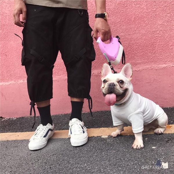 dog collars & leashes strong spring leash with poop bag and bowl water food feeder multi function pet outdoor travel walking animal puppy ca
dog collars & leashes strong spring leash with poop bag and bowl water food feeder multi function pet outdoor travel walking animal puppy ca