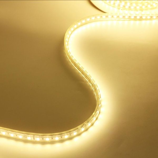 strips outdoor waterproof 24v smd warm white super bright led flexible soft lamp strip light
strips outdoor waterproof 24v smd warm white super bright led flexible soft lamp strip light