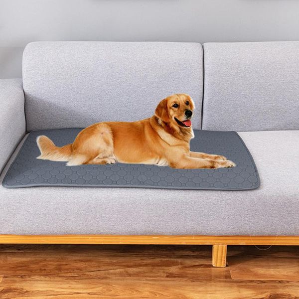 kennels & pens dog bed reusable diapers for cat breathable pet pee pad washable mat sleeping absorbent puppy
kennels & pens dog bed reusable diapers for cat breathable pet pee pad washable mat sleeping absorbent puppy