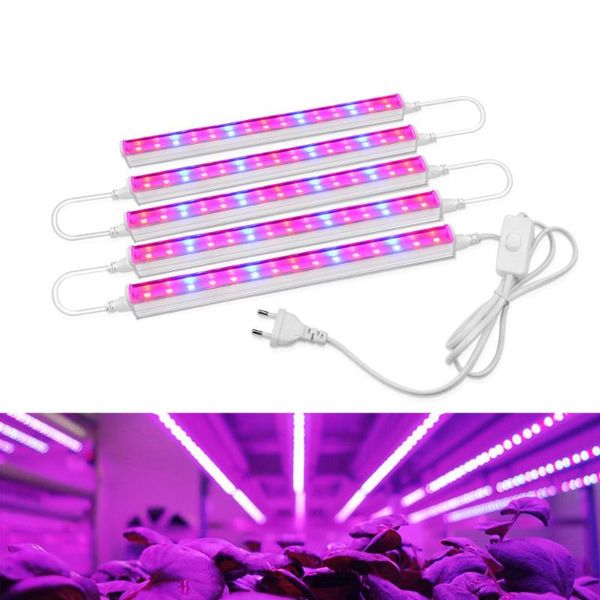 grow lights led light phyto lamp ac 85-265v eu us plug phytolamp 57cm 29cm t5 tube for plants growth flower seedling plant
grow lights led light phyto lamp ac 85-265v eu us plug phytolamp 57cm 29cm t5 tube for plants growth flower seedling plant