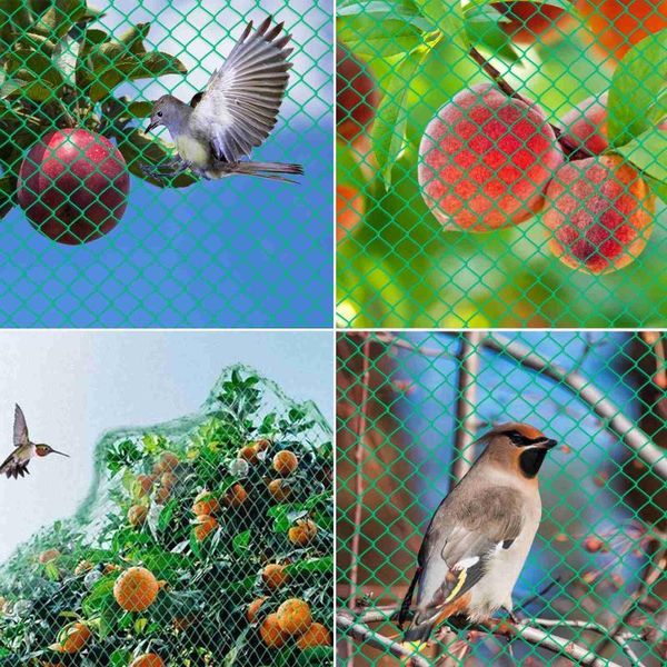 storage bags extra strong anti bird netting for garden protection of vegetable plants and fruit trees reusable crops protective fencing mesh
storage bags extra strong anti bird netting for garden protection of vegetable plants and fruit trees reusable crops protective fencing mesh
