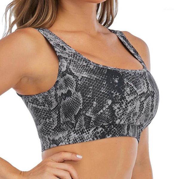 women high impact yoga bra animal print cropped push up sports sportswear fitness gym tank running shirt outfit
women high impact yoga bra animal print cropped push up sports sportswear fitness gym tank running shirt outfit
