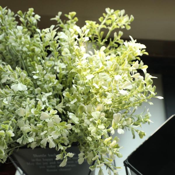 decorative flowers & wreaths 1pc ins style imitation grass leaves plant clover diy green artificial plastic for home wedding decoration
decorative flowers & wreaths 1pc ins style imitation grass leaves plant clover diy green artificial plastic for home wedding decoration