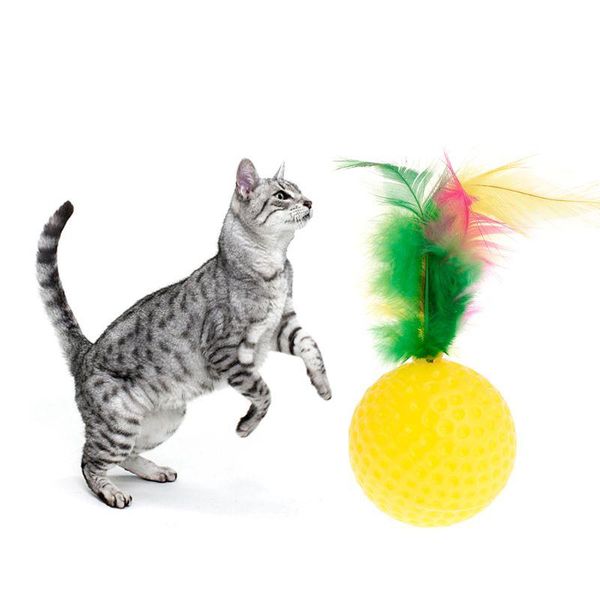 cat toys 55kf teaser golf ball feather colorful chew play intelligent interactive funny pet dog puppy kitten supplies
cat toys 55kf teaser golf ball feather colorful chew play intelligent interactive funny pet dog puppy kitten supplies