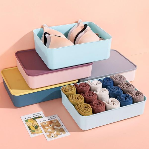 storage drawers pp with lid holder underwear box material durable dust-proof moisture-proof wardrobe bra organizer
storage drawers pp with lid holder underwear box material durable dust-proof moisture-proof wardrobe bra organizer