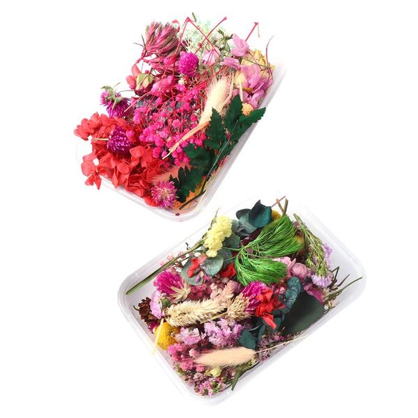 decorative flowers & wreaths 2 boxes diy mixed dried real materials for art craft candle scrapbooking (random color)
decorative flowers & wreaths 2 boxes diy mixed dried real materials for art craft candle scrapbooking (random color)