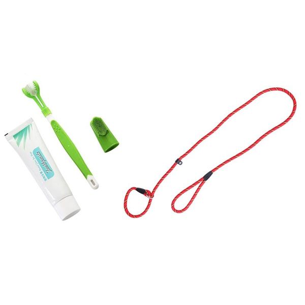 pcs durable pet dog traction rope & 1 set finger toothbrush three head collars leashes
pcs durable pet dog traction rope & 1 set finger toothbrush three head collars leashes