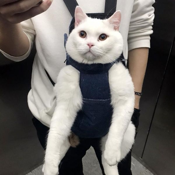 cat carriers,crates & houses cloth handbag cage pet carrier backpack transport medium size dog mochila transporte gato house products bl50mb
cat carriers,crates & houses cloth handbag cage pet carrier backpack transport medium size dog mochila transporte gato house products bl50mb