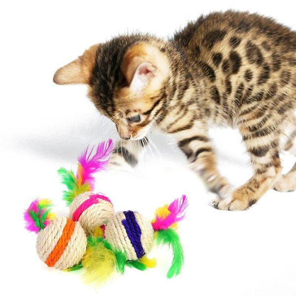 8pcs funny cat kitten play dolls ball colorful feather striped sisal teaser random color double headed toys
8pcs funny cat kitten play dolls ball colorful feather striped sisal teaser random color double headed toys