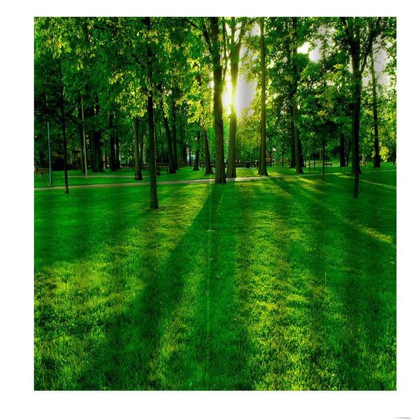 modern idyllic forest tree 3d curtain custom luxury for living room bed blackout window drapes indoor decor &
modern idyllic forest tree 3d curtain custom luxury for living room bed blackout window drapes indoor decor &