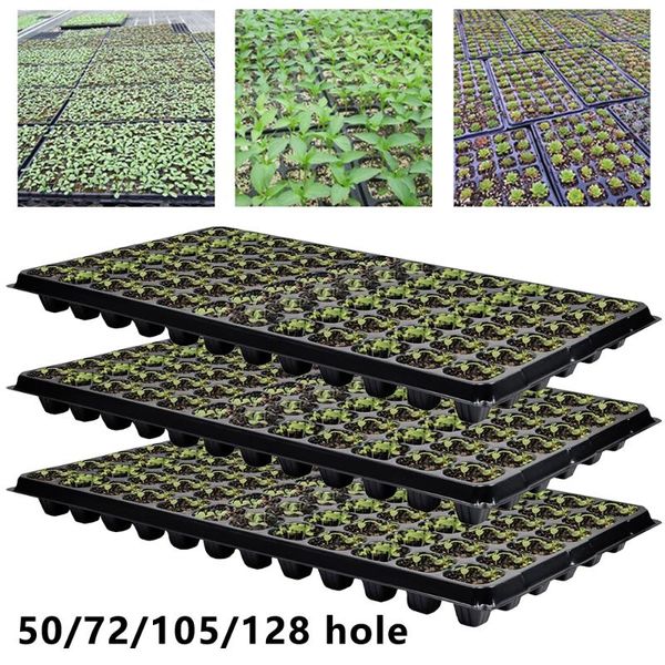 pcs 50/72/105/128 cells seedling starter tray plastic nursery bonsai flower pot green succulent plants seed grow box planters & pots
pcs 50/72/105/128 cells seedling starter tray plastic nursery bonsai flower pot green succulent plants seed grow box planters & pots