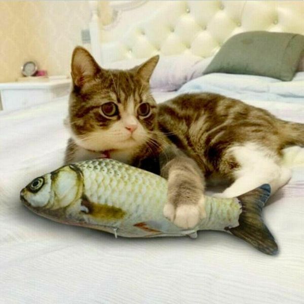 cat toys 20cm 30cm 40cm creative pet kitten chewing catnip stuffed fish interactive product simulation toy
cat toys 20cm 30cm 40cm creative pet kitten chewing catnip stuffed fish interactive product simulation toy