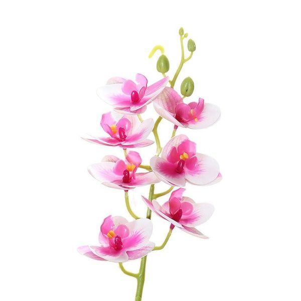 decorative flowers & wreaths 1 bundle 5pcs per pack 3d printing 7 heads plastic butterfly orchid artificial flower fake for gift or decorati
decorative flowers & wreaths 1 bundle 5pcs per pack 3d printing 7 heads plastic butterfly orchid artificial flower fake for gift or decorati