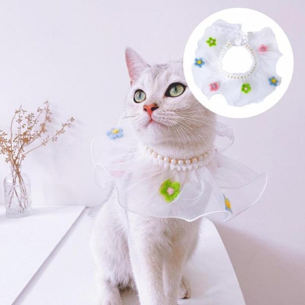cat costumes pet bib fine workmanship chiffon attractive round dog kerchief neckerchief supplies
cat costumes pet bib fine workmanship chiffon attractive round dog kerchief neckerchief supplies