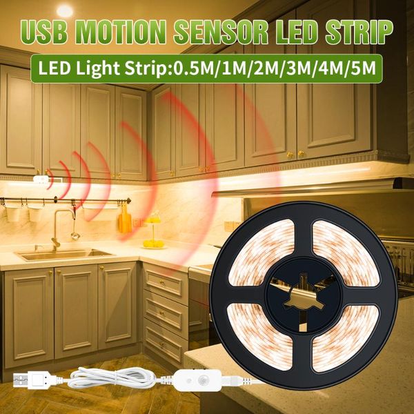 motion sensor tiras 0.5m 1m 2m 3m 4m 5m under cabinet lamp usb 5v strip light led flexible diode tape closet bombillas
motion sensor tiras 0.5m 1m 2m 3m 4m 5m under cabinet lamp usb 5v strip light led flexible diode tape closet bombillas