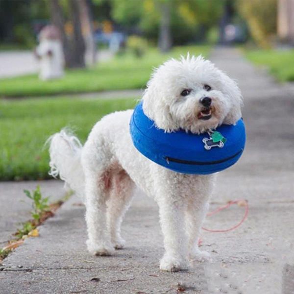 dog collars & leashes inflatable pet collar anti-bite neck elizabethan cute cat puppy protective circle for small large dogs
dog collars & leashes inflatable pet collar anti-bite neck elizabethan cute cat puppy protective circle for small large dogs