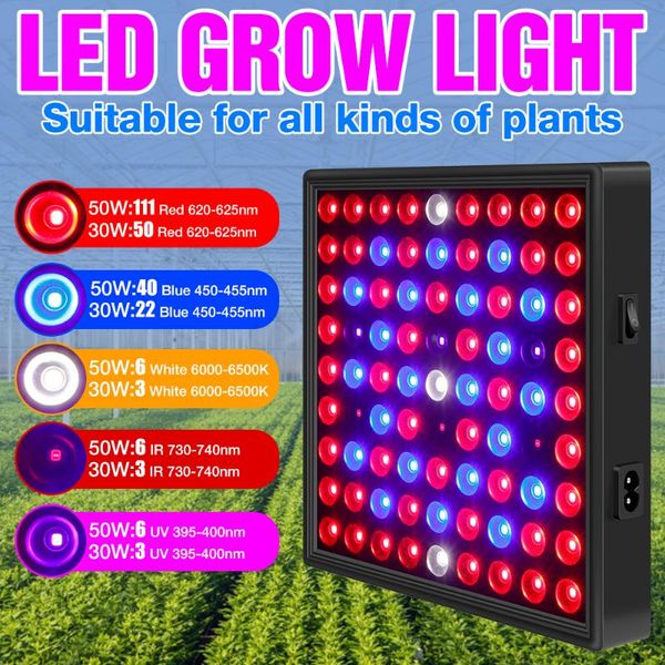 full spectrum led plant indoor light fitolampe 220v grow lampara 30w 50w greenhouse hydroponics plants seeds flower 20w 40w lights
full spectrum led plant indoor light fitolampe 220v grow lampara 30w 50w greenhouse hydroponics plants seeds flower 20w 40w lights