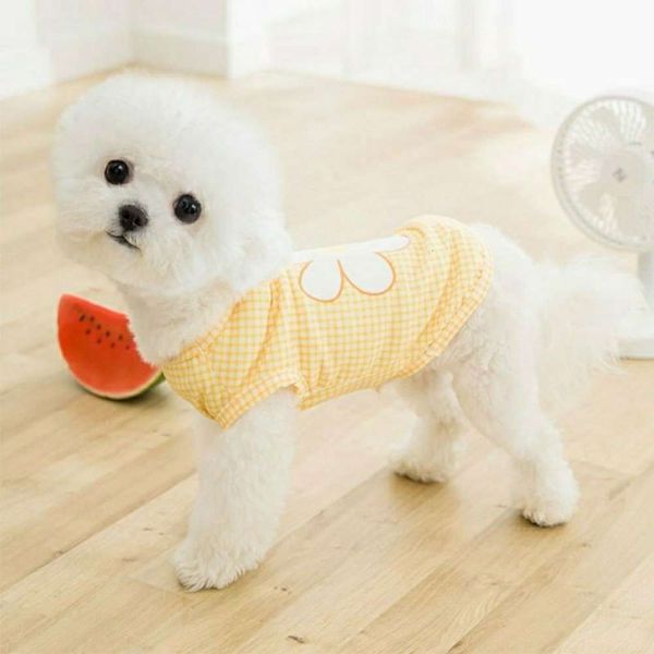 the dog clothes spring and summer small pet thin cat clothing teddy bear dog cute supplies
the dog clothes spring and summer small pet thin cat clothing teddy bear dog cute supplies