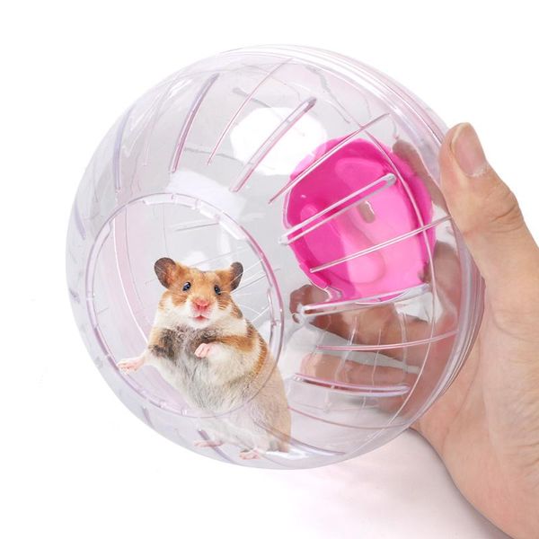 outdoor sport ball hamster running balls gerbil rat exercise portable pet rodent mice jogging plastic small animal supplies
outdoor sport ball hamster running balls gerbil rat exercise portable pet rodent mice jogging plastic small animal supplies