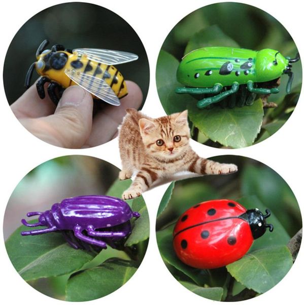 cat toys simulation electronic walking insect pet dog toy interactive play cute ladybird beetle style for 5x4cm
cat toys simulation electronic walking insect pet dog toy interactive play cute ladybird beetle style for 5x4cm