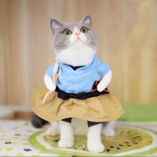 cat costumes dog cosplay clothing role playing suit funny clothes halloween dressing up party costume dress puppy kitten pet apparel
cat costumes dog cosplay clothing role playing suit funny clothes halloween dressing up party costume dress puppy kitten pet apparel