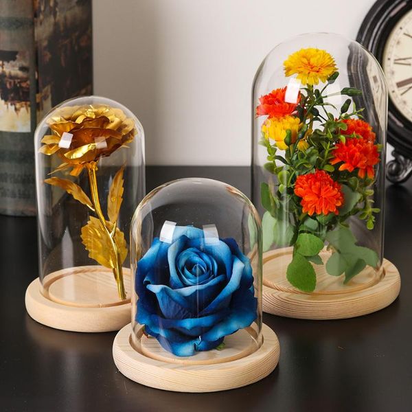 other home decor 1pc dried flower glass cover wooden base cloche jar dust display stand immortal storage box
other home decor 1pc dried flower glass cover wooden base cloche jar dust display stand immortal storage box