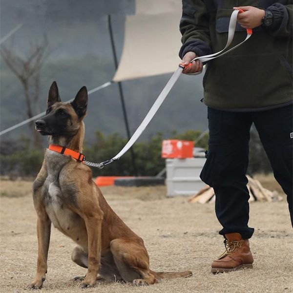 explosion proof dog leash small-large leashes durable buckle multifunction leads supplies accessories collars &
explosion proof dog leash small-large leashes durable buckle multifunction leads supplies accessories collars &
