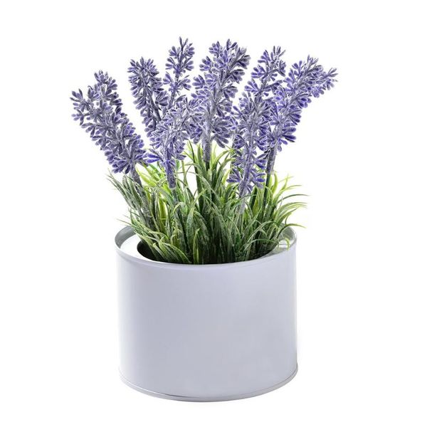 spring grass plant diy bonsai potted garden artificial grasses plastic fake home decoration flowers quality decorative & wreaths
spring grass plant diy bonsai potted garden artificial grasses plastic fake home decoration flowers quality decorative & wreaths