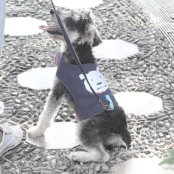 dog collars & leashes all season fashion durable pet leash set walk the breathable cotton soft vest harnesses adjustable cute puppy rope1
dog collars & leashes all season fashion durable pet leash set walk the breathable cotton soft vest harnesses adjustable cute puppy rope1